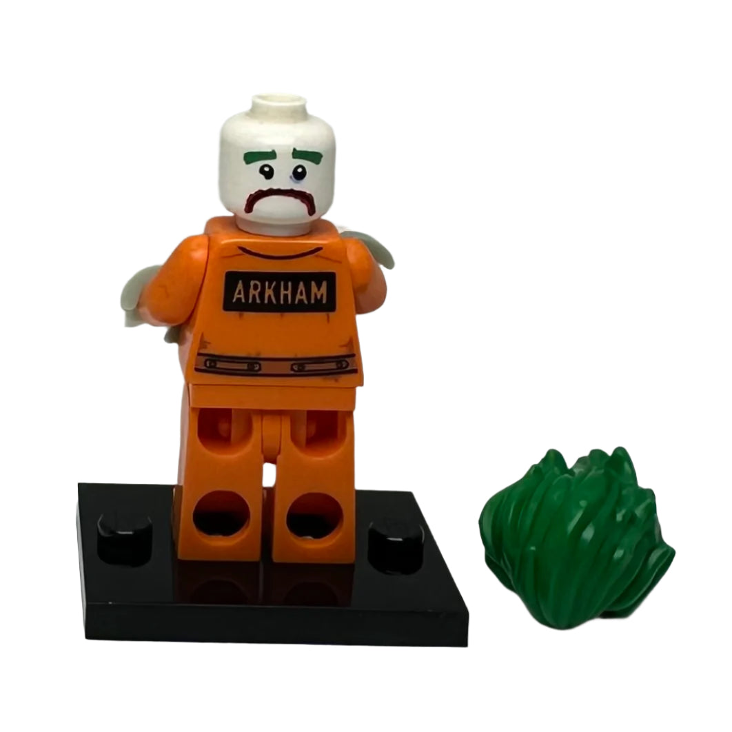 LEGO 71017 The LEGO Batman Movie 'Series'- Various Minifigures