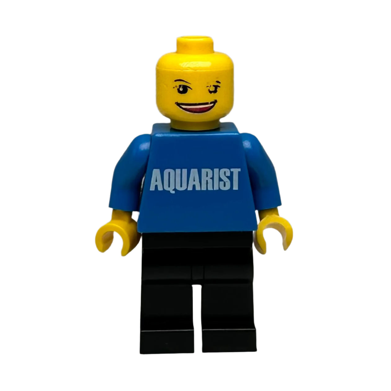 LEGO figure with a blue shirt labeled 'AQUARIST'