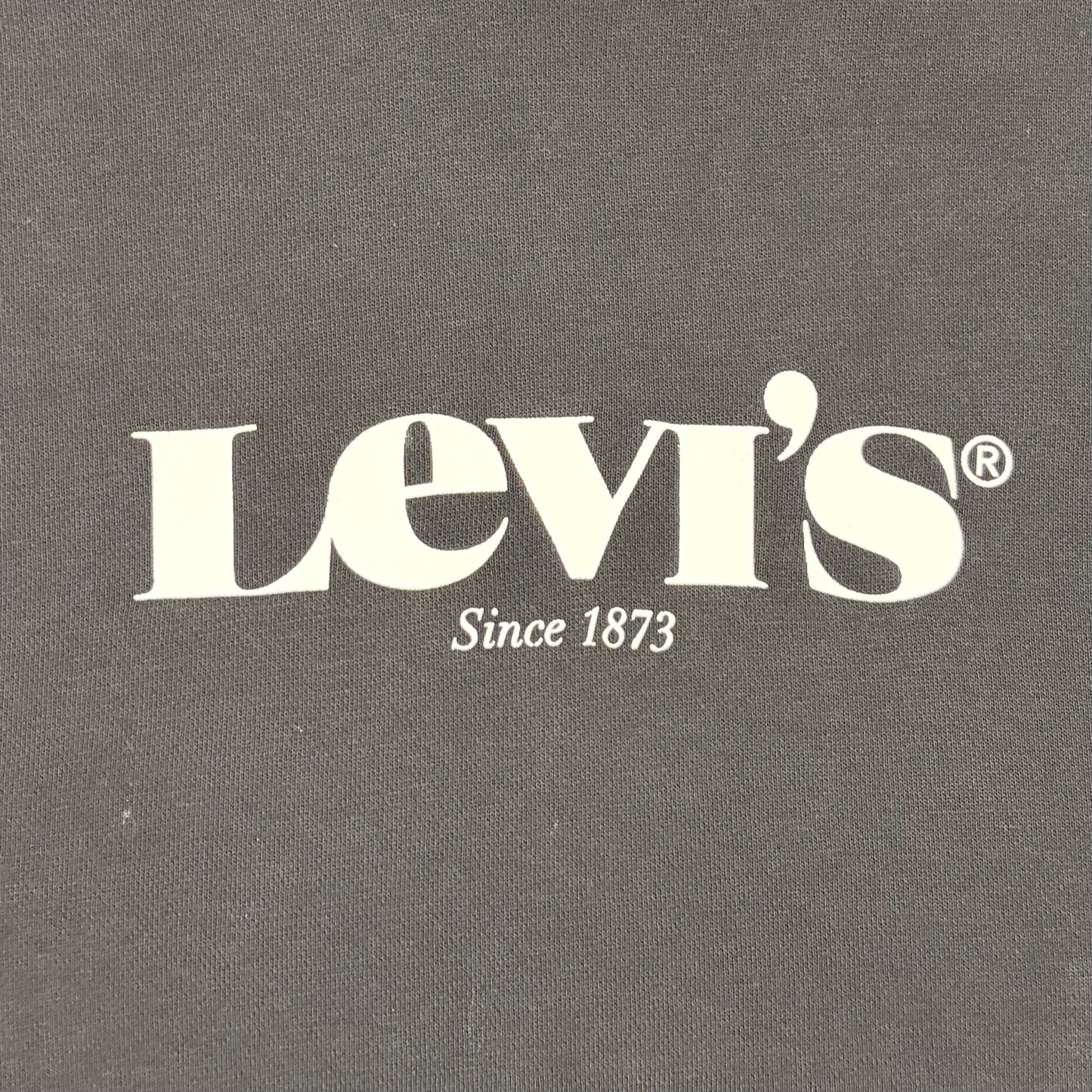 Levi's Men's Relaxed Fit Lightweight Fleece Hoodie - Black - Size M